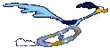 roadrunner