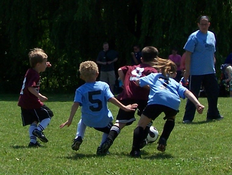spri 08 2