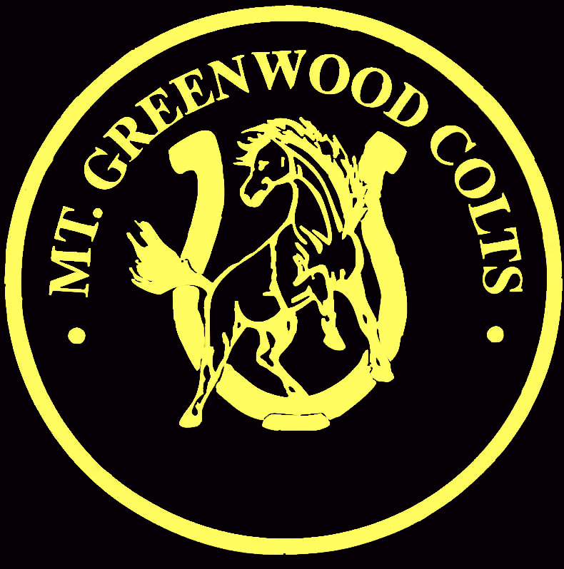 2 color logo