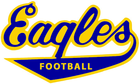 DTE Helmet Logo Football.jpg