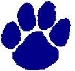 S Cougars