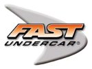 Gold - Fastundercar-color.jpg
