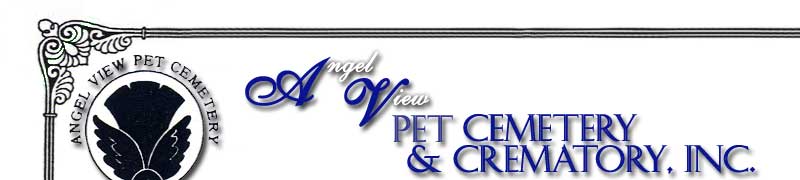 AngelView