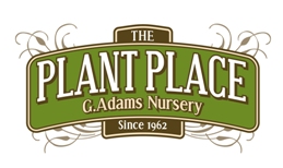 Plant Place