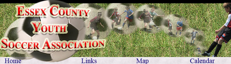 ECYSA2 Banner