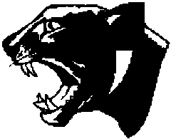 Panthers