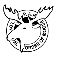 moose
