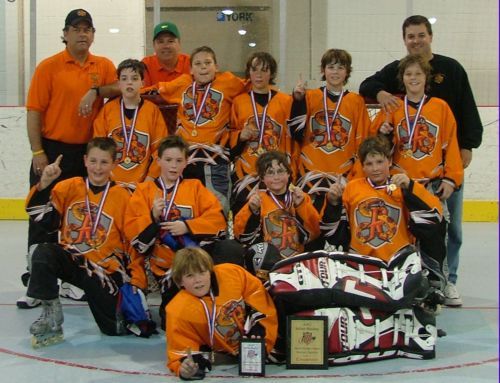2006 10u95 April AAU Gold