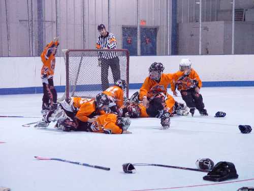 2006 USARS 8U celebration