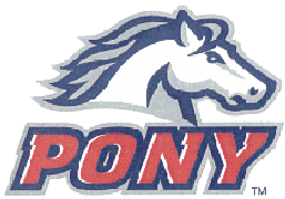pony