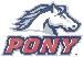 pony