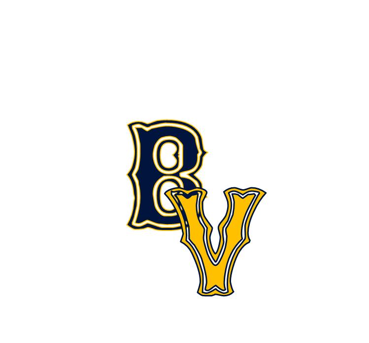 BVLOGO
