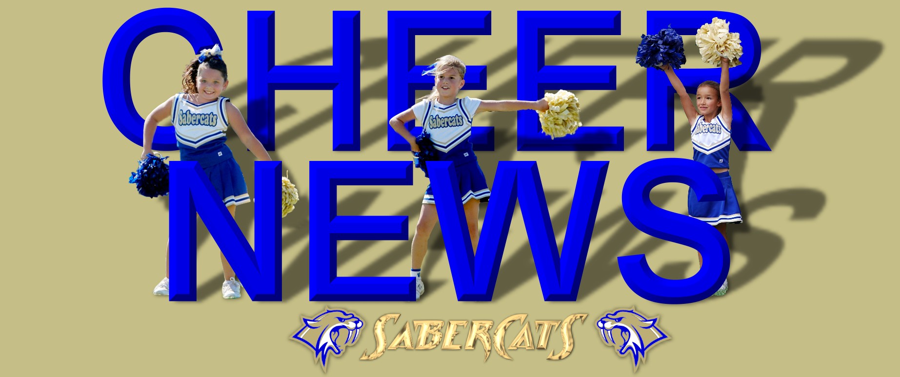 2009 cheer banner