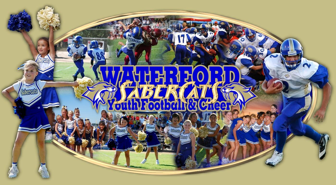 2009 banner