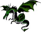 Dragon Logo 2007