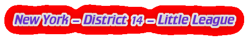 New York Little League District 14