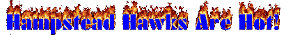 hampsteadhawksarehot.gif.gif