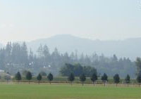 SkagitPark