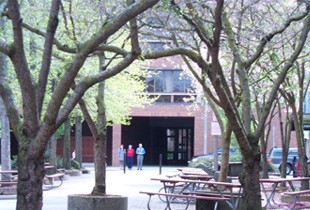 City of Mount Vernon