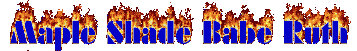 msbr_flames.gif.gif