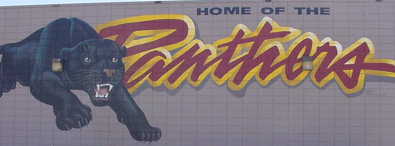 Panther Wall