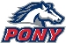 pony logo