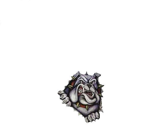 Brooklyn Area Bulldogs 14 AAA