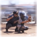 umpire