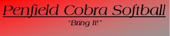 COBRA BANNER