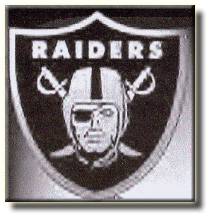 richton park raiders