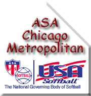 Chicago Metro Logo