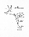 Lehighmap