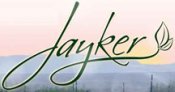 jaykers-1.jpg
