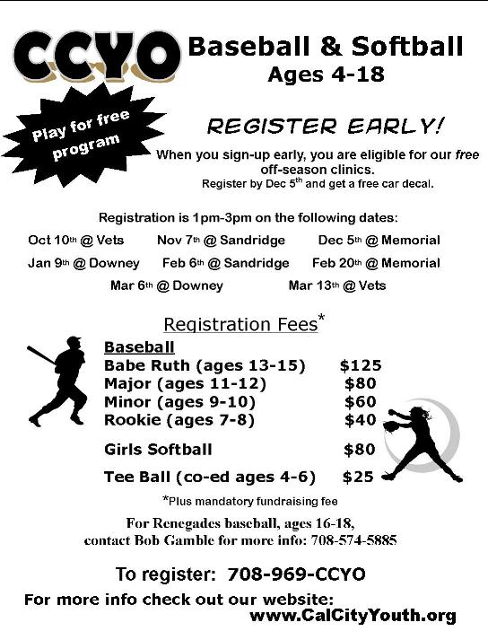 2010 Reg Flyer