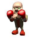 boxer