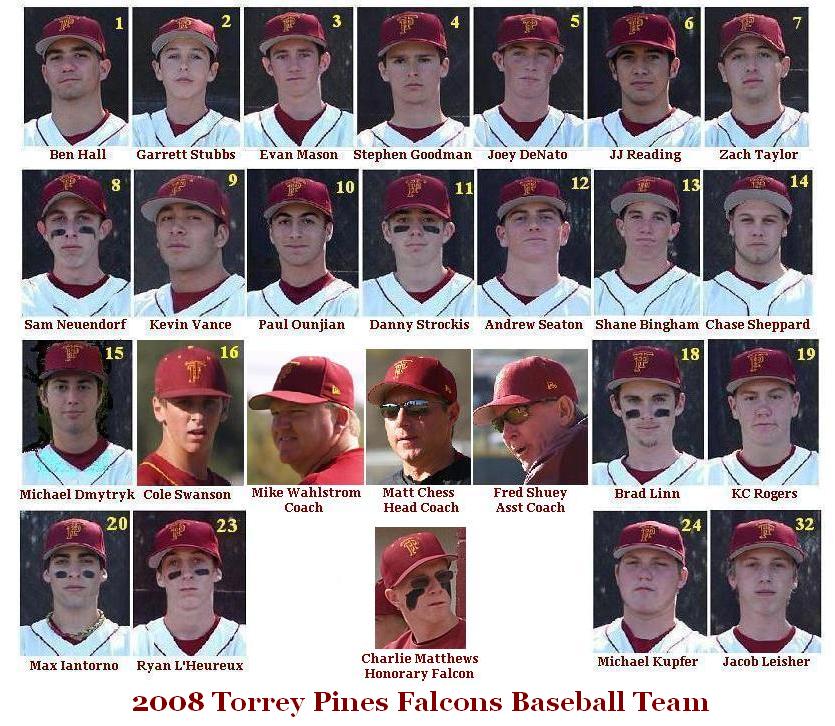 2008 Falcon Team