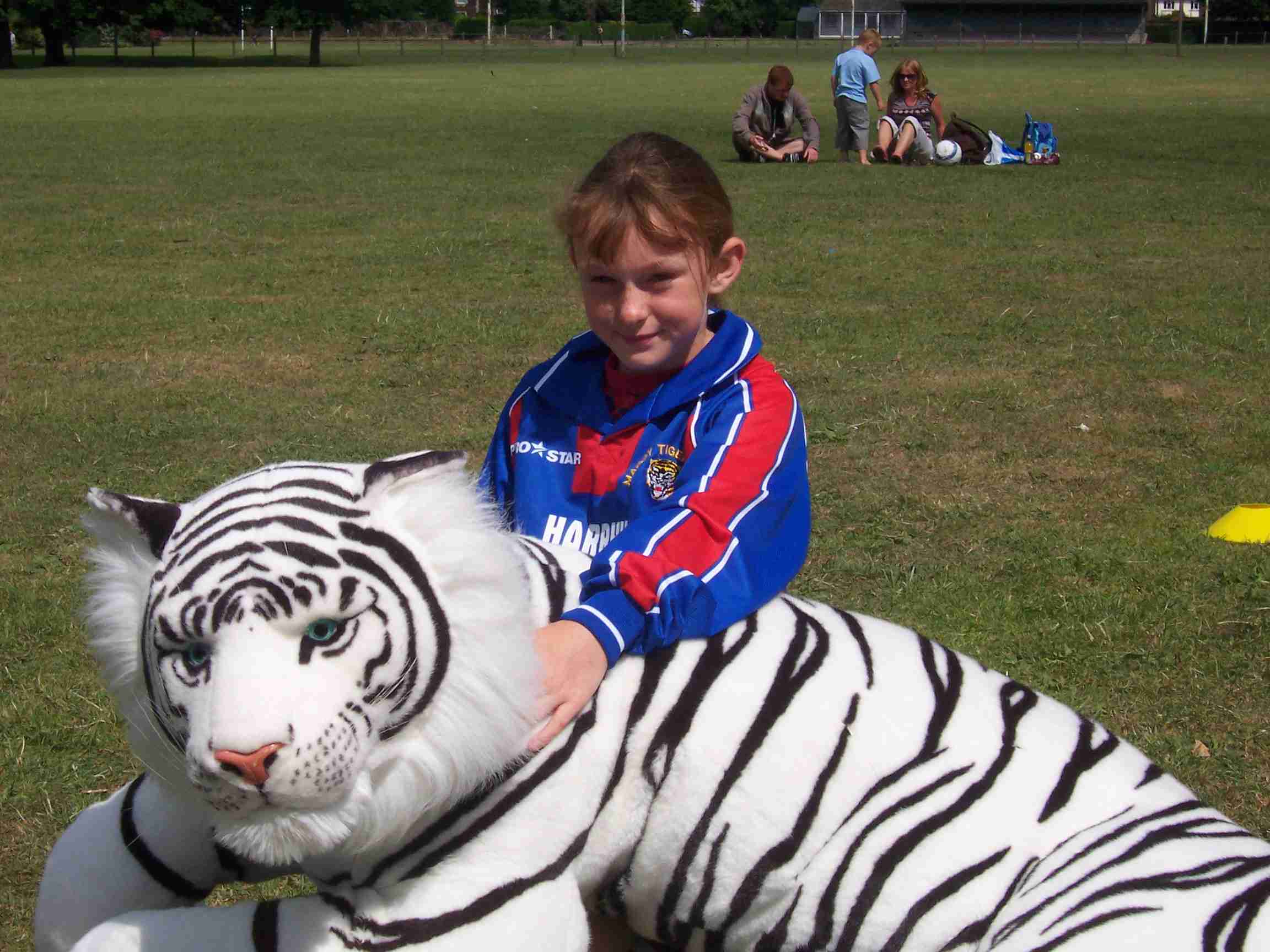 Spot The Tiger