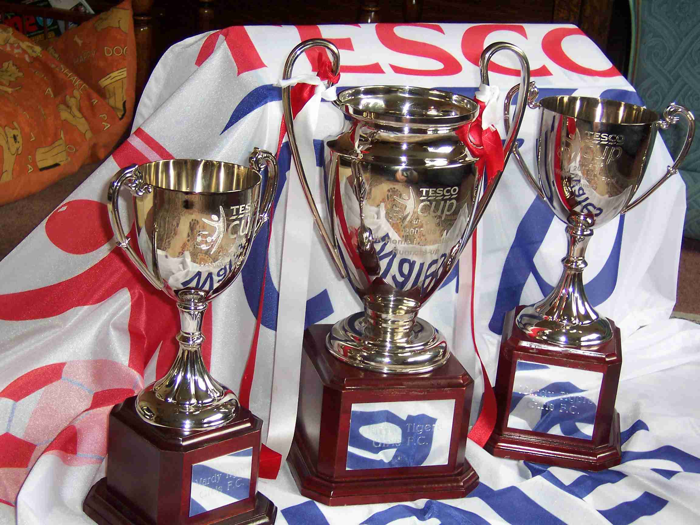 TESCO CUP 2008