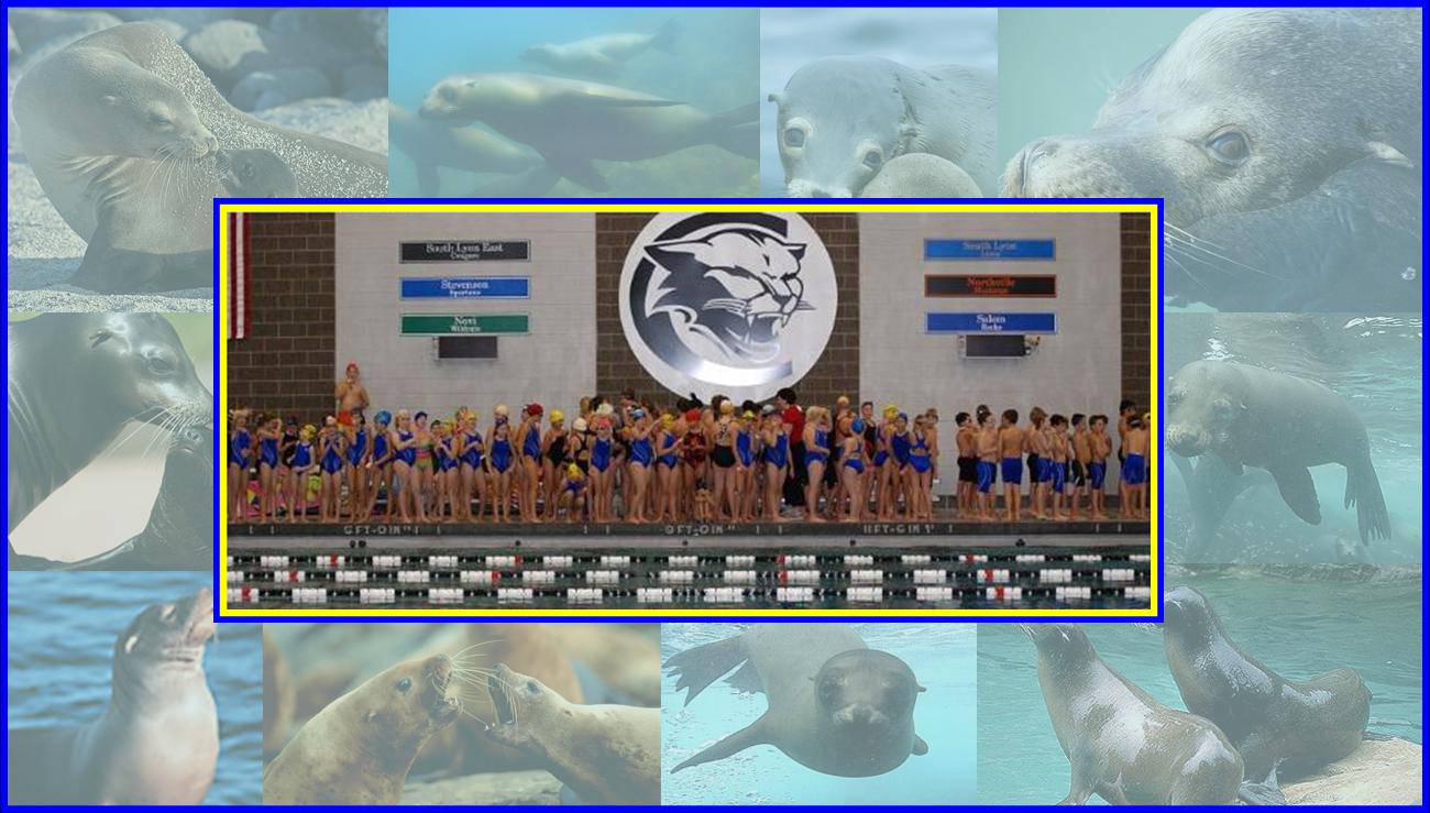 Sea Lions website 2-1.jpg