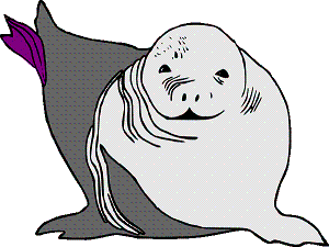 Animated Sea Lion