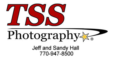 TSS Logo