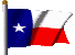 texasCLEAR.gif