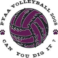 2008 Volleyball Logo