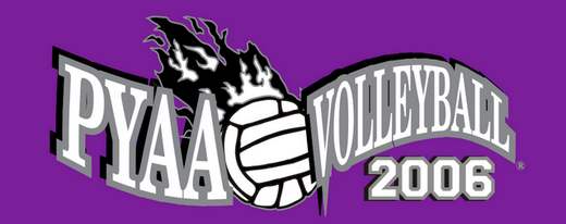 2006 Volleyball Logo