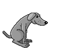 DOG-1