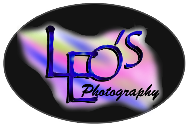 leo photo logo