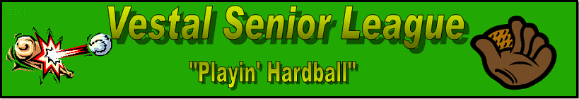 Vestal Senior League