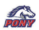 pony logo