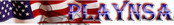 play nsa logo