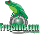 FrogWeb Logo
